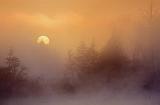 Foggy Sunrise_09276
